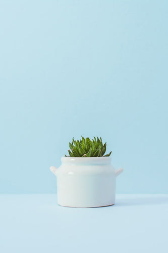 Mini Light Blue Planter