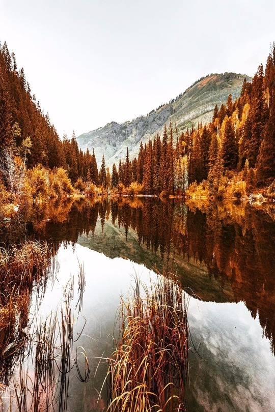 mall bagA small bagA small bagA small bagA small bagA small bagA small bagA small bagA small bagA small bagA small bagA small bagA small bagA small bagA small bagA small bag